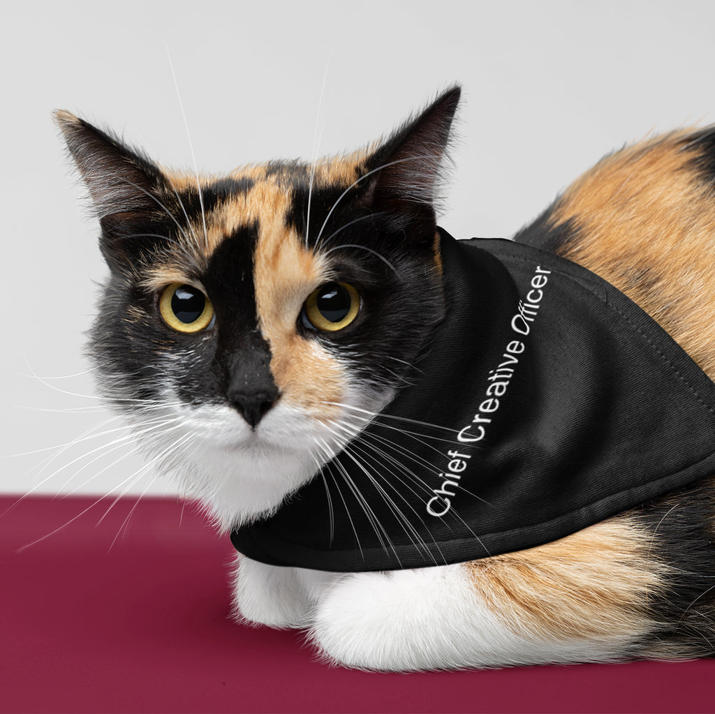 CCO Pet Bandana