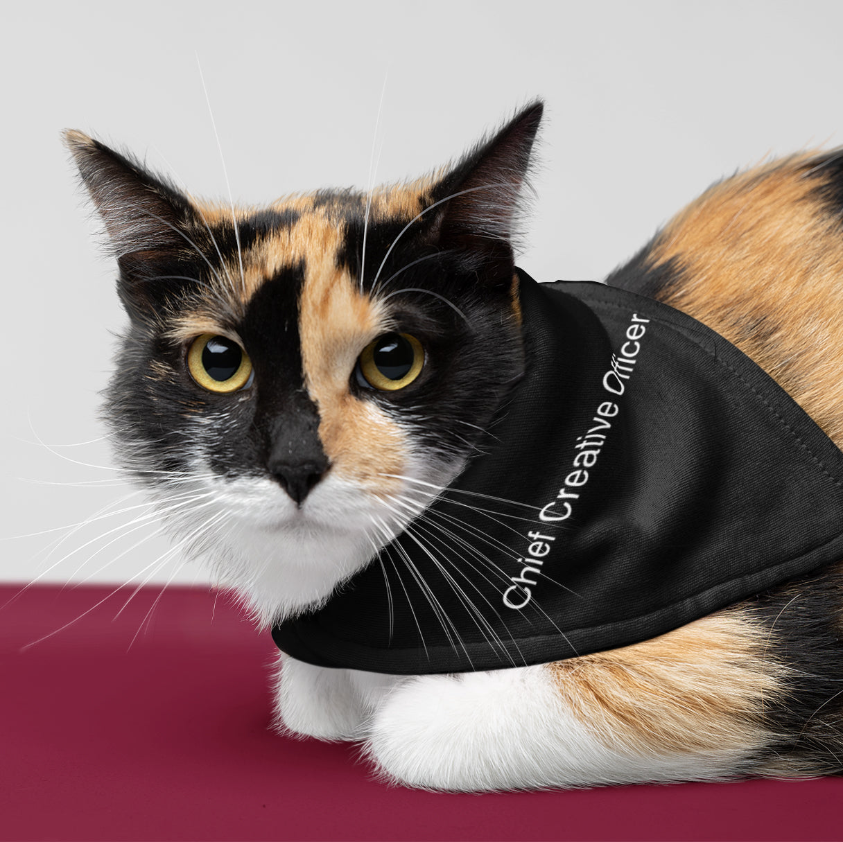CCO Pet Bandana