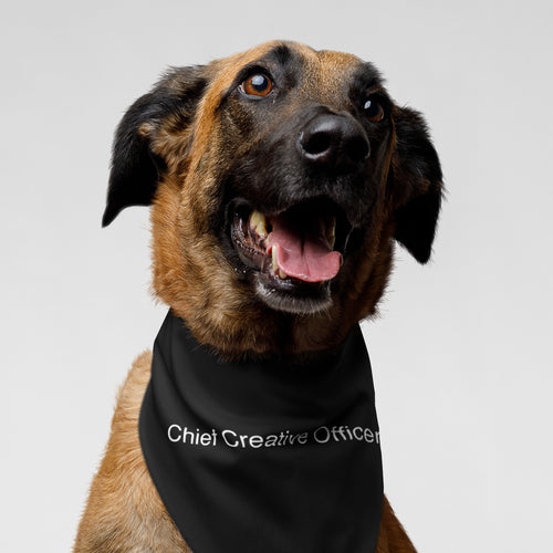 CCO Pet Bandana